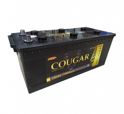 Аккумулятор COUGAR Power 6CT-190 Ач прям. пол.(D5/B)